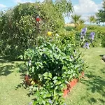 Robins Rest Ντόνεγκαλ
