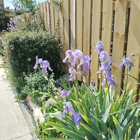 Feriehus Robins Rest