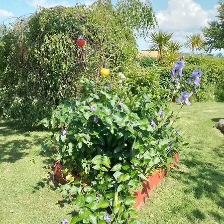 Robins Rest Donegal Town