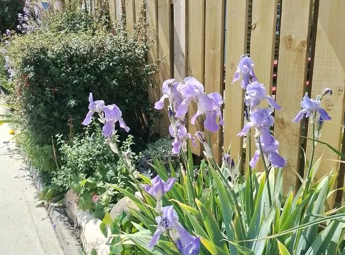 Дом отдыха Robins Rest