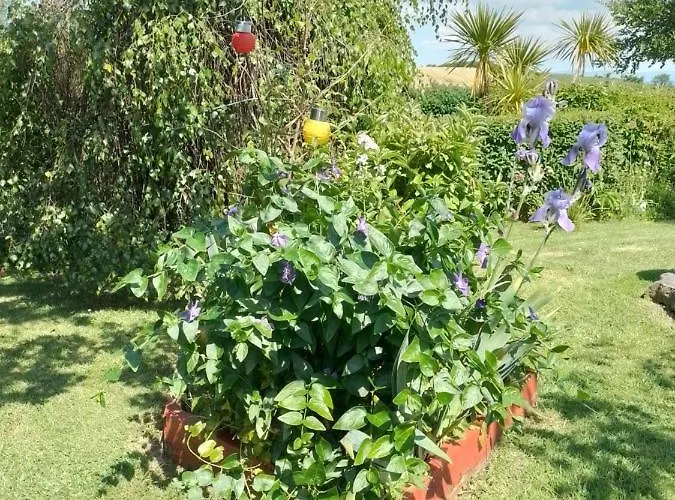 Robins Rest Донегол